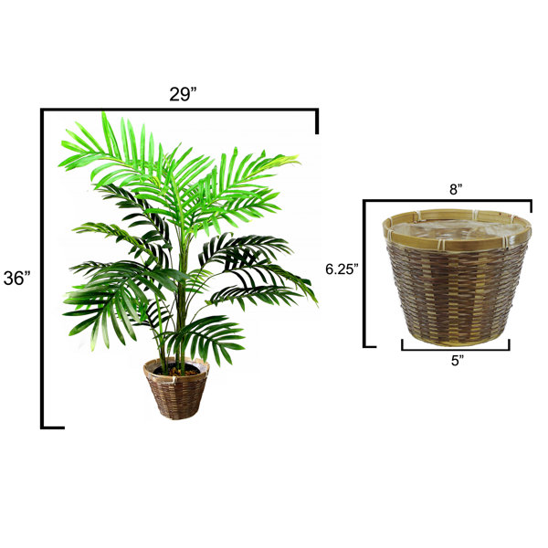 Primrue 36'' Faux Palm Tree in Basket Wayfair